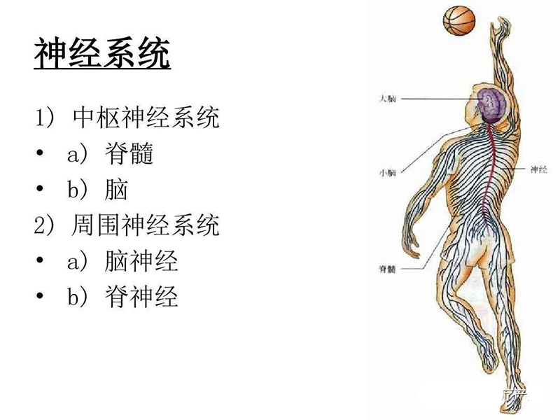 香薰機(jī)多少錢一臺(tái)