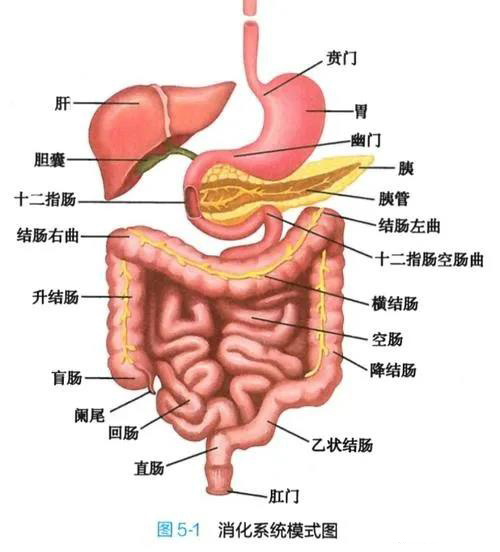 香薰機(jī)的價(jià)格