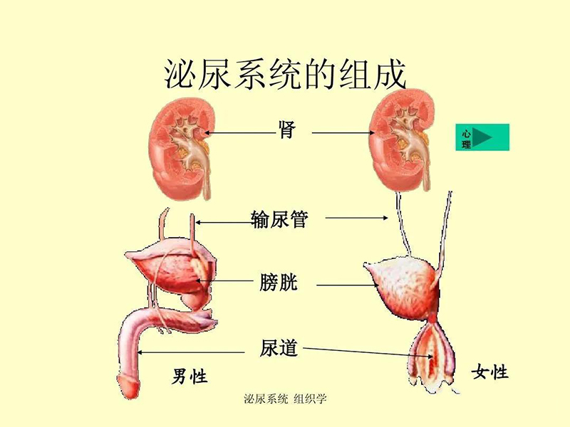 香熏機(jī)價(jià)格